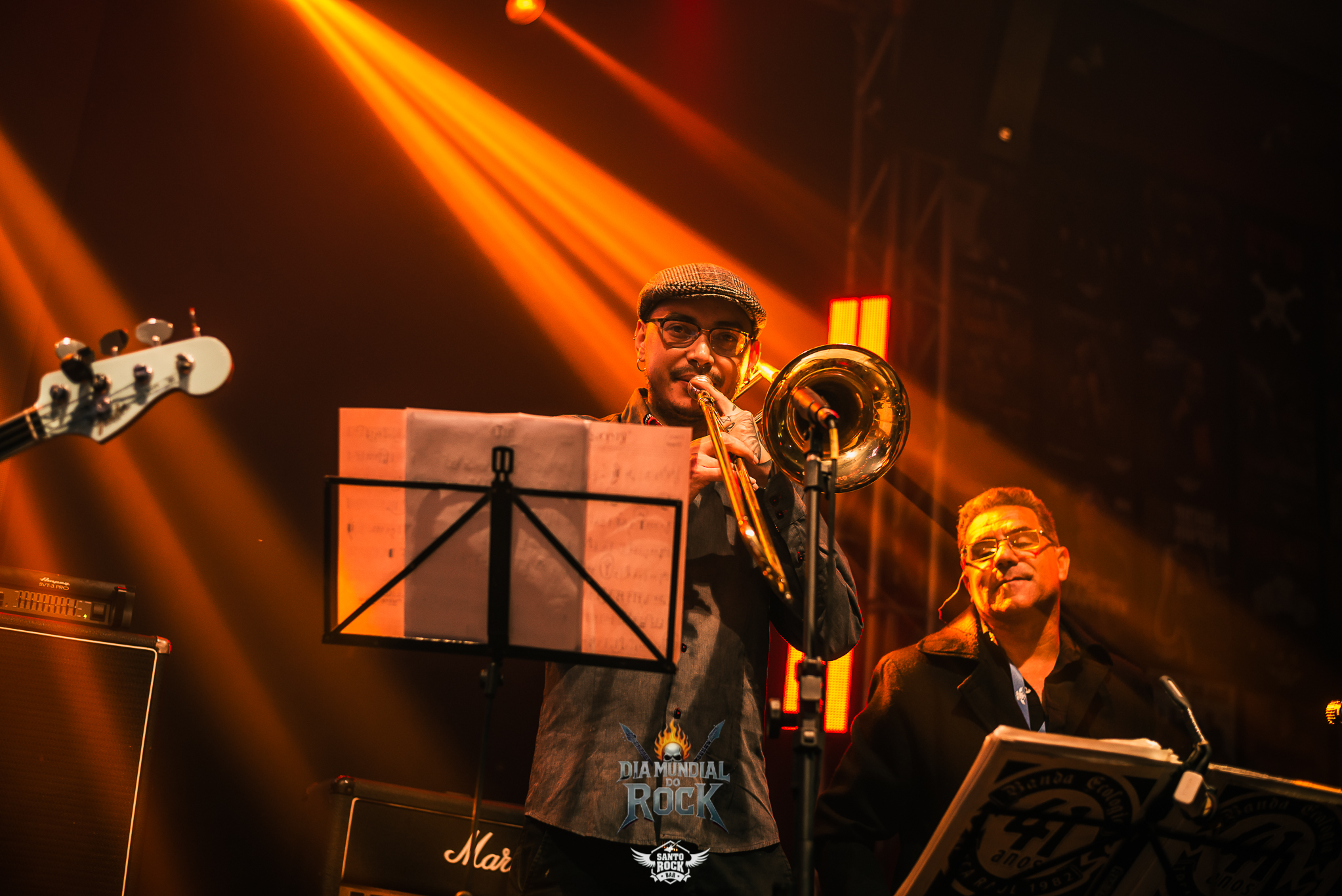 Camisa de Venus / Ecologia