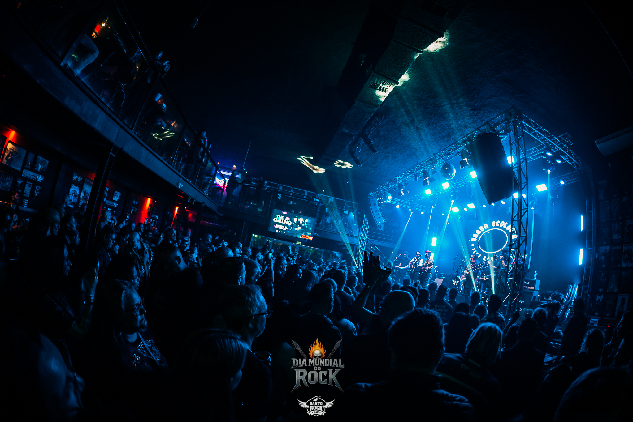 Camisa de Venus / Ecologia