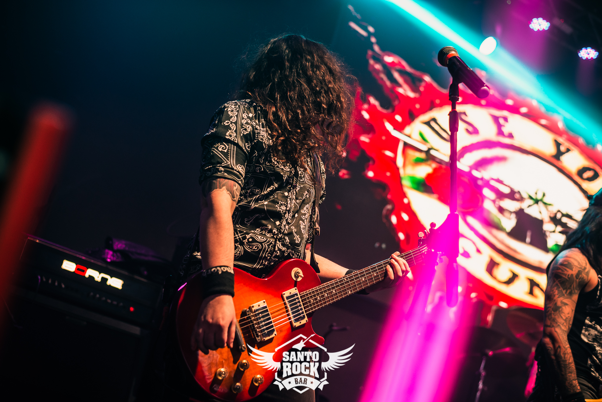 Aero Smith Cover / Use your Guns