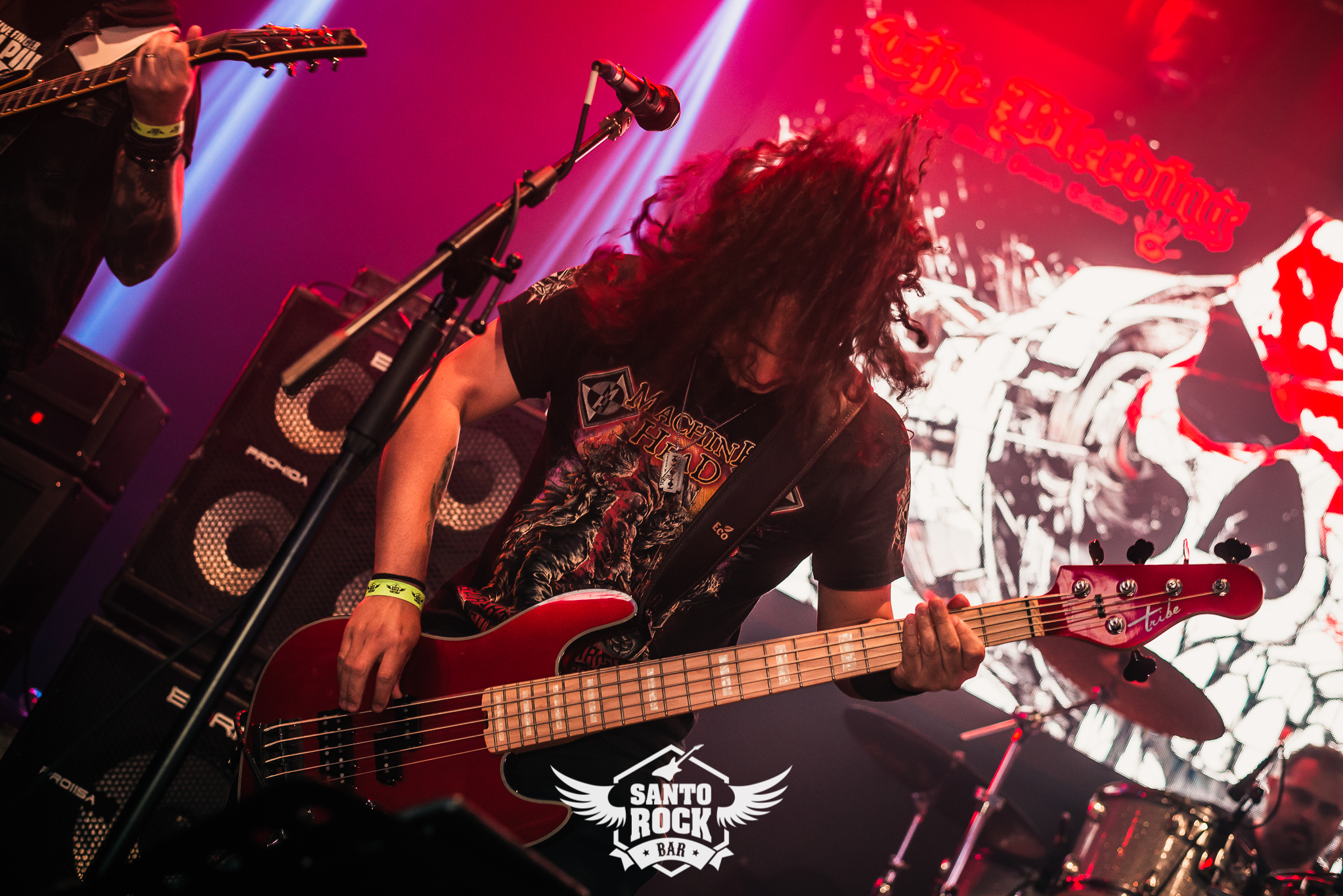 D.A.O.S / The Bleeding