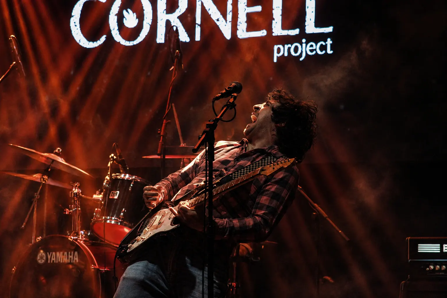 CHRIS CORNELL PROJECT