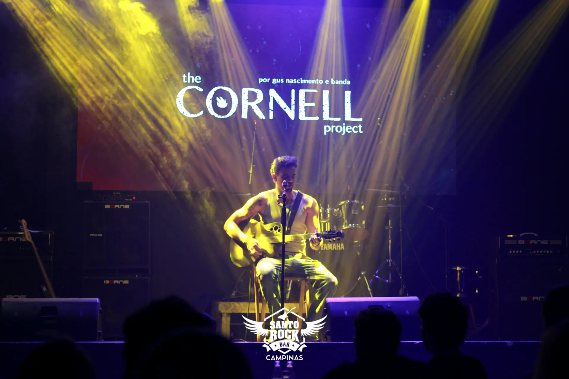 CHRIS CORNELL PROJECT