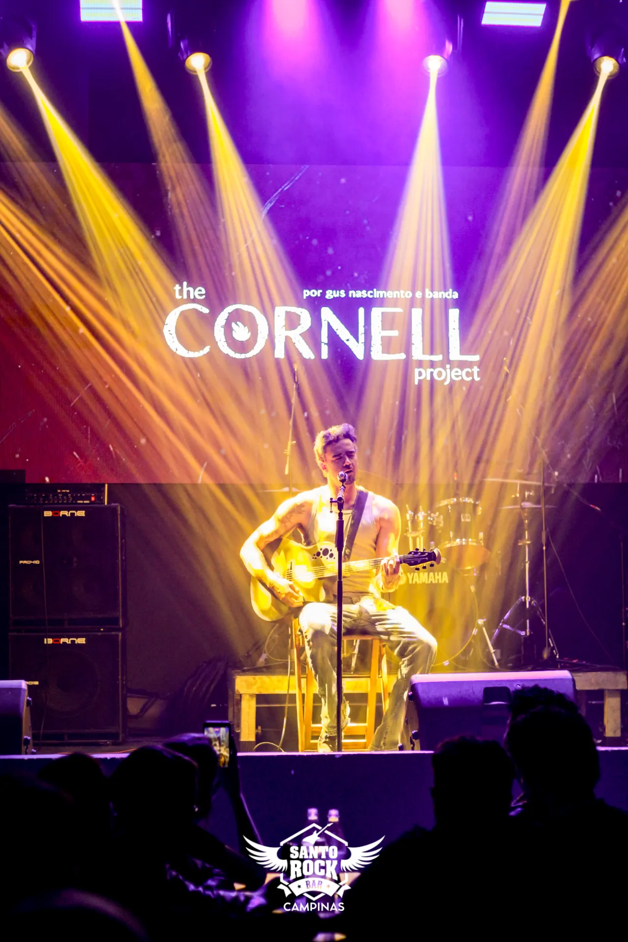 CHRIS CORNELL PROJECT
