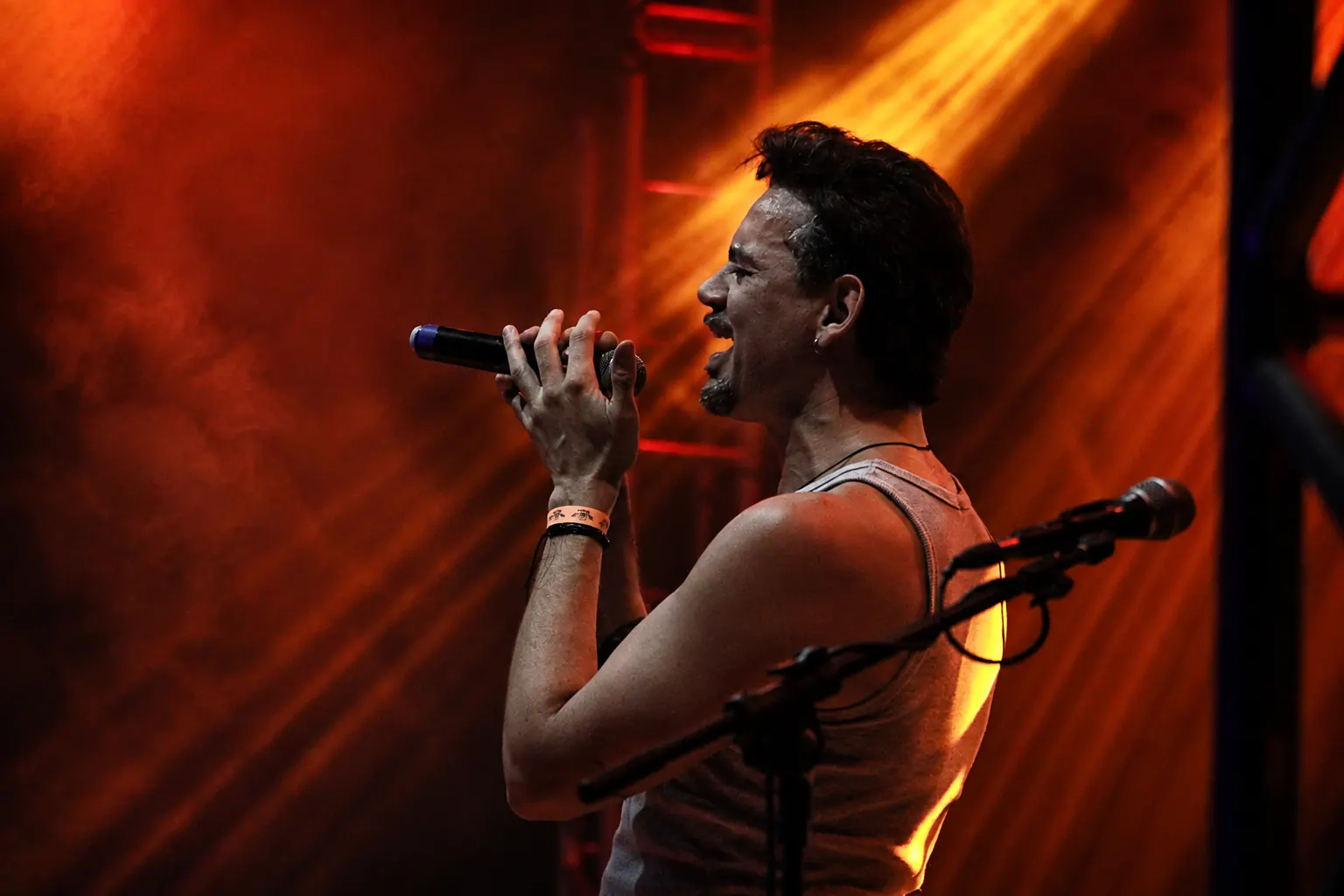 CHRIS CORNELL PROJECT