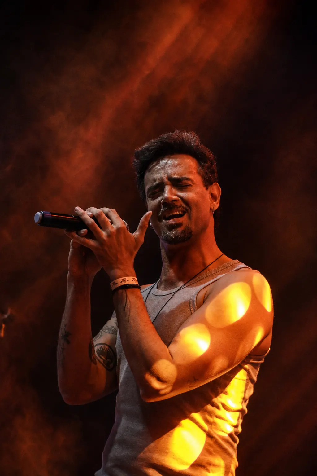 CHRIS CORNELL PROJECT