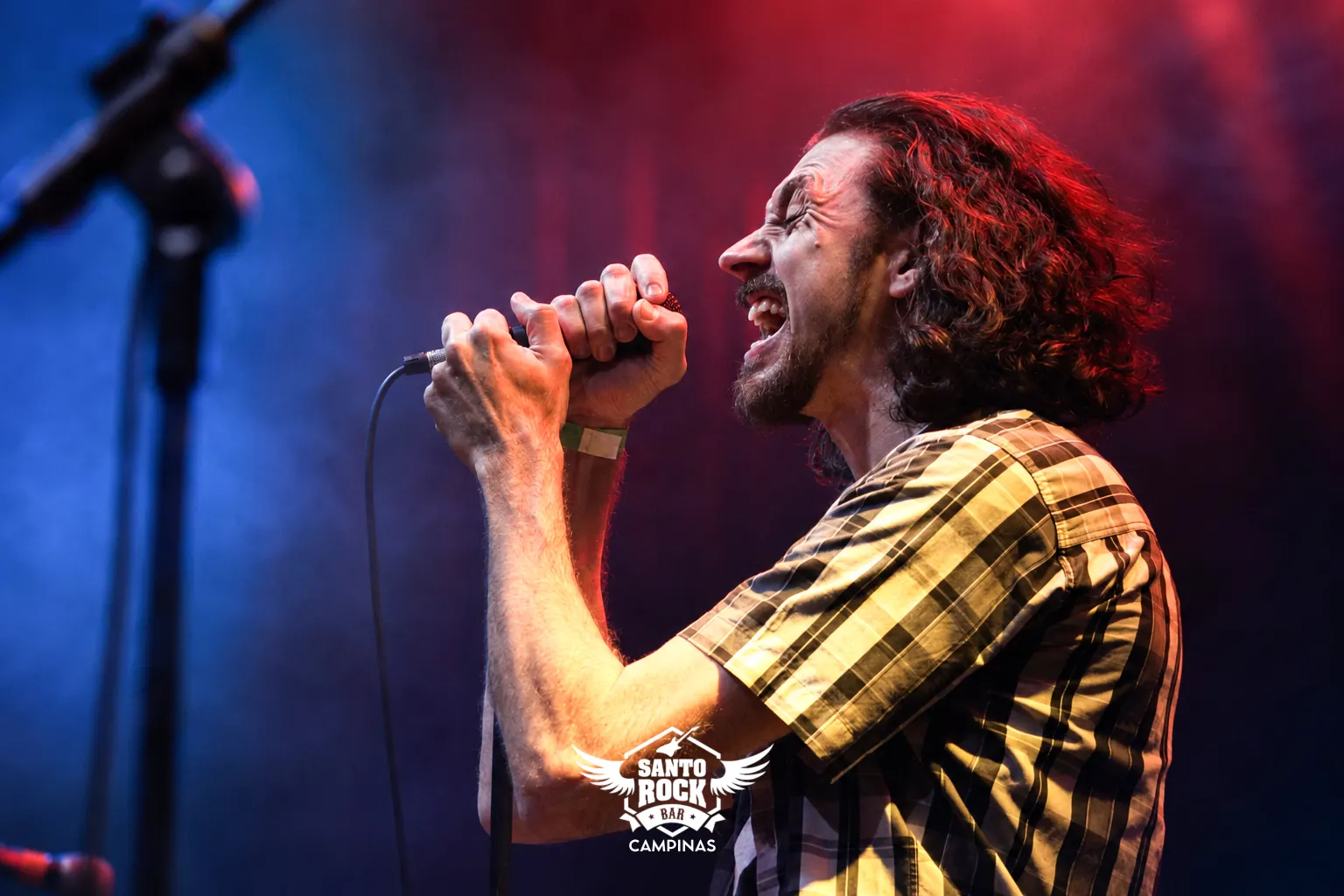 PEARL JAM BLAYMORPHED