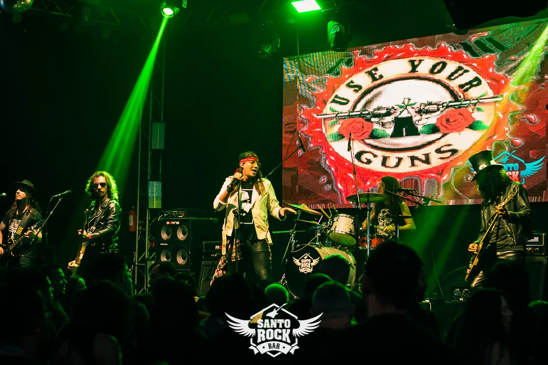 Bon Jovi Experience / Use Your Guns