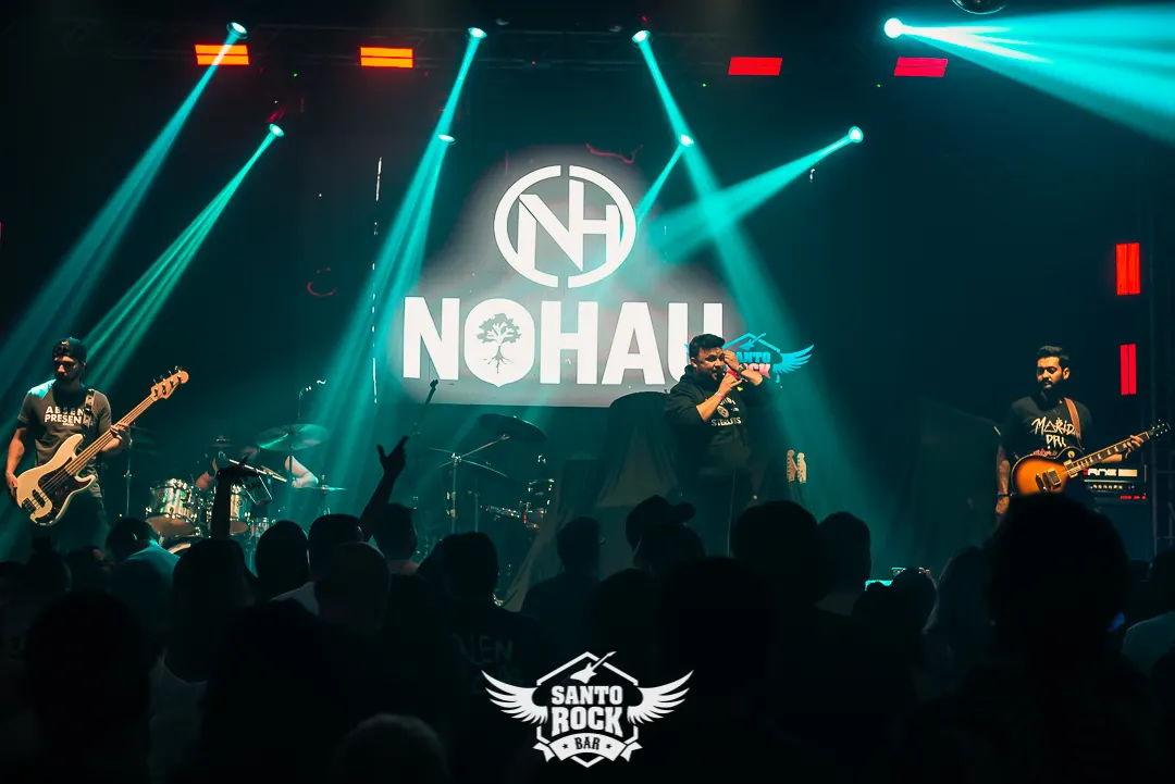 Planta e Raiz / Nohau