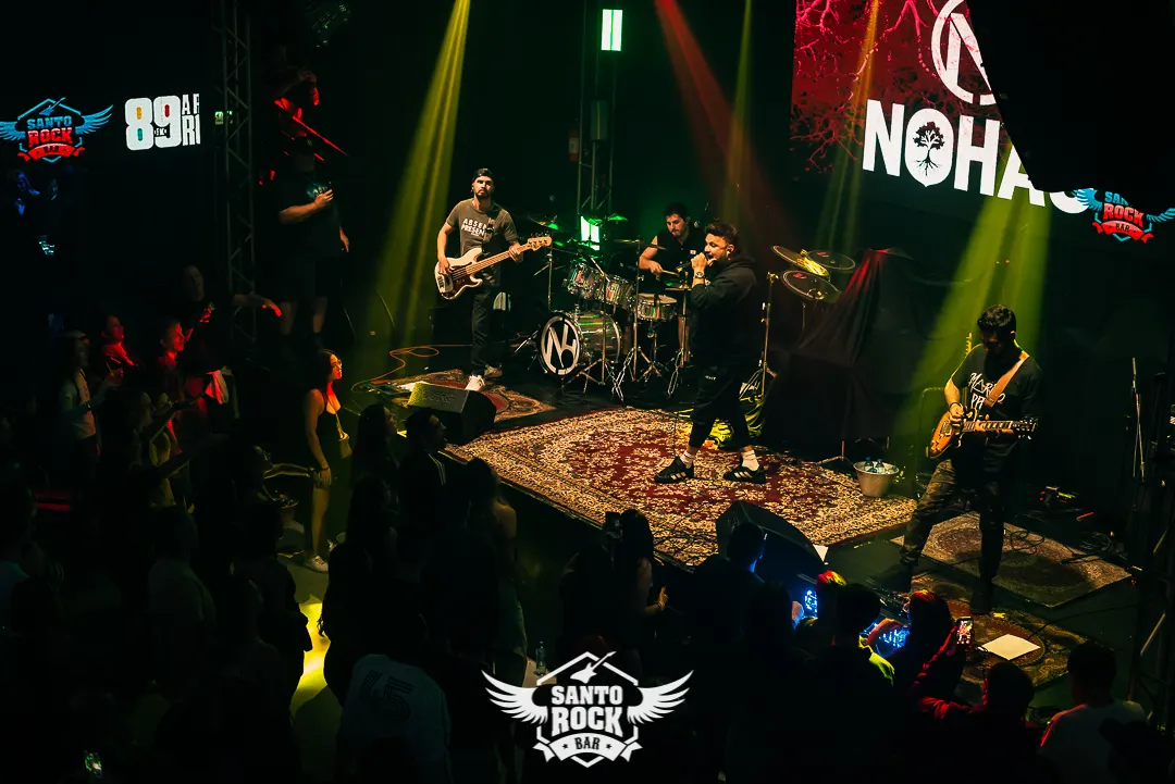 Planta e Raiz / Nohau